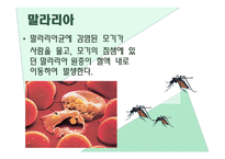 전염병이란, 전염 경로, 전염의 종류 -11