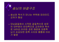 뇌줄기(뇌간, brainstem) 구성, 중간뇌의 속구조   -16