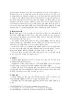 드론 활용사례, 국내 드론산업 발전방향-11