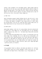 글로벌마케팅믹스전략-4