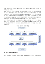 글로벌마케팅믹스전략-6