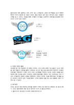 생활경제 보고서 - SNS 내에서의 성공적인 광고 요소에 대한 탐구 -18
