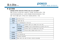 포스코(경영정보시스템) 소개, 재무정보    -3