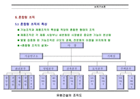 조직구조론 -12