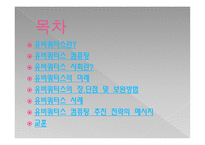 유비쿼터스란, 유비쿼터스 사회란 -2