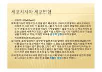방사선 생물학, 방사선에 의한 손상을 설명하는 이론    -5