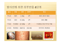 방사선 생물학, 방사선에 의한 손상을 설명하는 이론    -18
