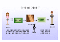 암호란 무엇인가, 고전암호, 현대암호 -4