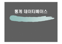 통계 데이터베이스 정의, 의미    -1