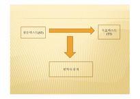 번역사, 용어정리, 번역사의 역할단체 -4