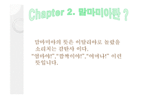 맘마미아 작가소개, 주요인물 분석    -5