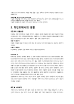 이집트의 문화 및 생활 -3