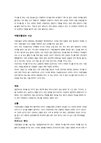 이집트의 문화 및 생활 -11