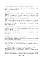 미술매체연구 및 실습 - 인형 -13