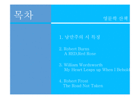 Poet of Romanticism, 낭만주의 시 특징 -2