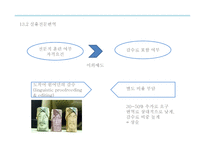번역의 종류별 접근법 -13