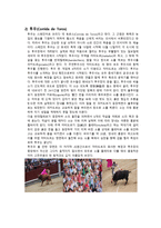 스페인에 대하여 (풍습, 비즈니스매너, 음식문화, 스포츠) -11