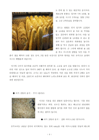 터키의 문화와 에티켓 -3