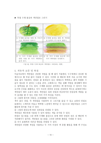 미술치료 매체실습 - 색연필 -11