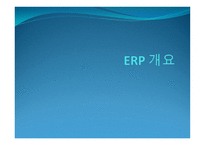ERP의 개요, ERP의 구성, ERP의 목표     -1