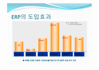 ERP의 개요, ERP의 구성, ERP의 목표     -8