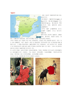 스페인의 문화와 풍습 -2