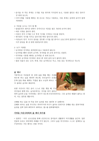 대한민국의 문화와 매너 -15