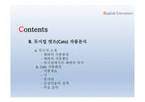 뮤지컬 캣츠 - 뮤지컬의 이론적 고찰 - 뮤지컬의 개요 및 특징 -3