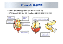 카페인과 건강 -6