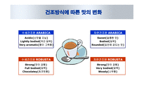 카페인과 건강 -12