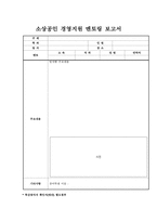 [양식 & 서식] 소상공인 경영지원 멘토링 보고서 -1