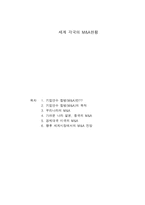 세계 각국의 M&A 현황13-1