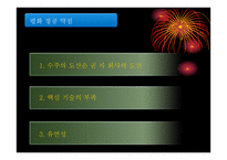 ㈜평화정공 사례분석-5