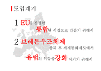 유럽의 통화제도-3