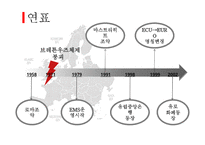 유럽의 통화제도-4