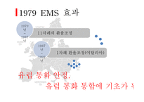 유럽의 통화제도-9