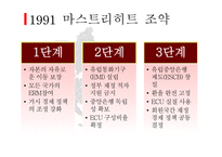 유럽의 통화제도-11