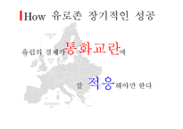 유럽의 통화제도-16