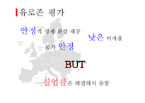 유럽의 통화제도-17