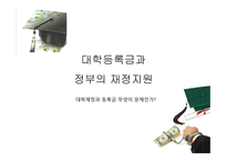 대학 등록금과 정부의 재정지원대학 재정과 등록금 무엇이 문제인가-1