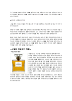 샤넬의 역사 보고서-4