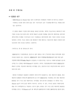 서브프라임 모기지-9