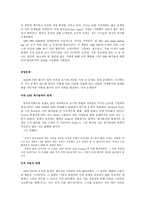 담보물의 물상 대위권-7