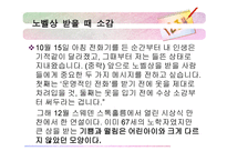 프랑코 모딜리아니(1)-8