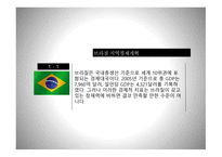 브라질 경기변동-4