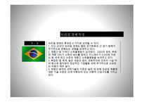 브라질 경기변동-6
