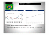 브라질 경기변동-13