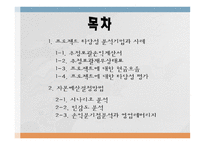 한전 프로젝트 타당성 분석-2
