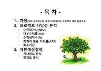 자본예산 결정-2