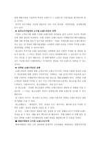 브랜드 전략 리포트-13